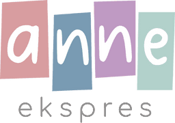 Reference logo for https://www.anneekspres.com/